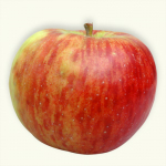 Pomme Bio "Topaz"